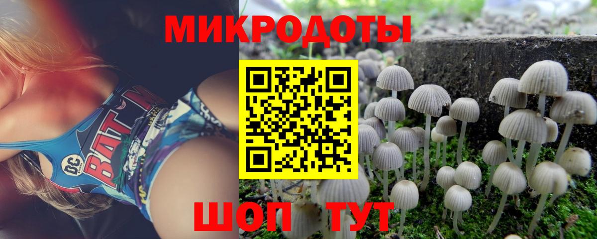 Псилоцибиновые грибы Psilocybe  Вход с VPN  Свободный 
